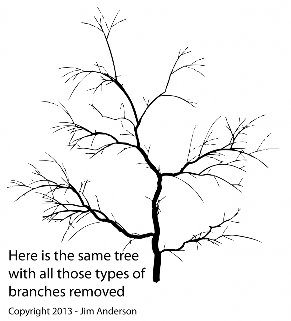 Aesthetic pruning three types of branches removed