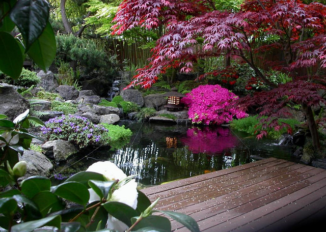 Japanese garden landscape pond view from deck