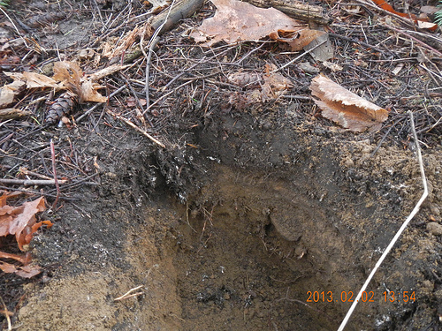 Site assessment soil tests