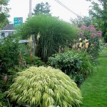 Mixed borders for enclosure
