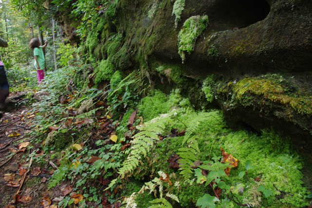 Nature inspired gardens can come from trips
