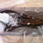 Bare root trees to stretch your landscaping budget