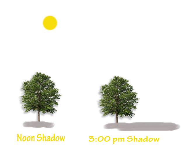 How close can you plant a tree from your house shade patterns