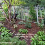 The plants I hate to leave behind
