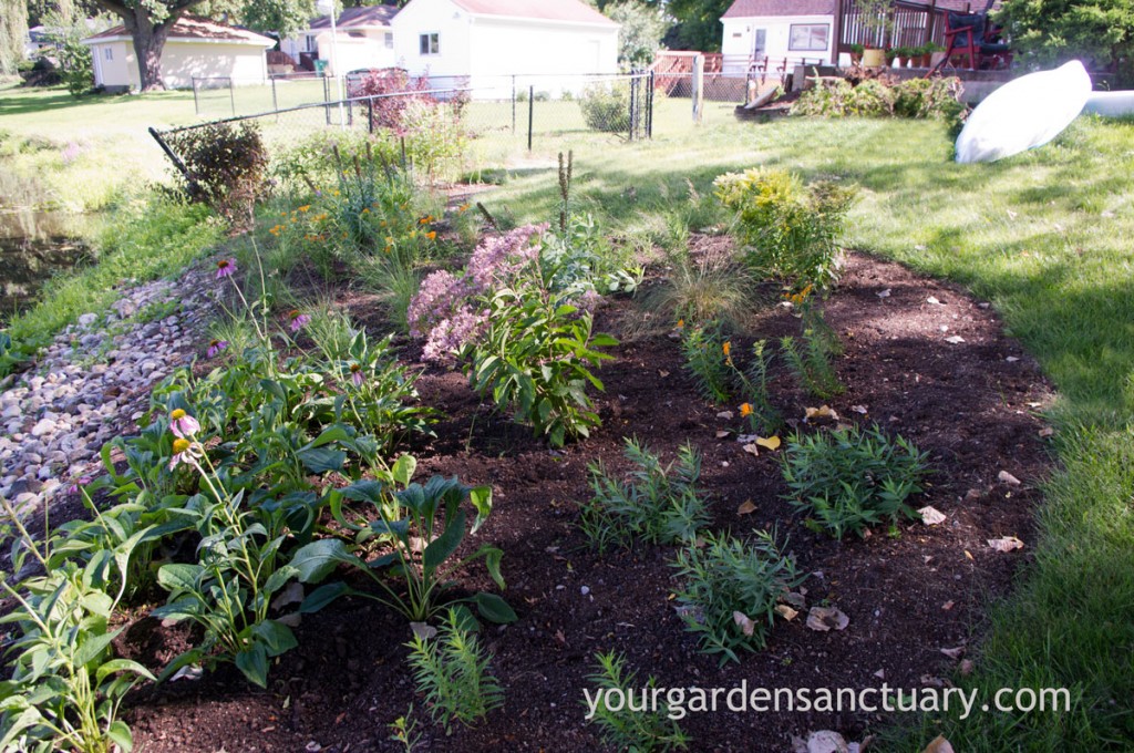 Looking east into the newly planted garden