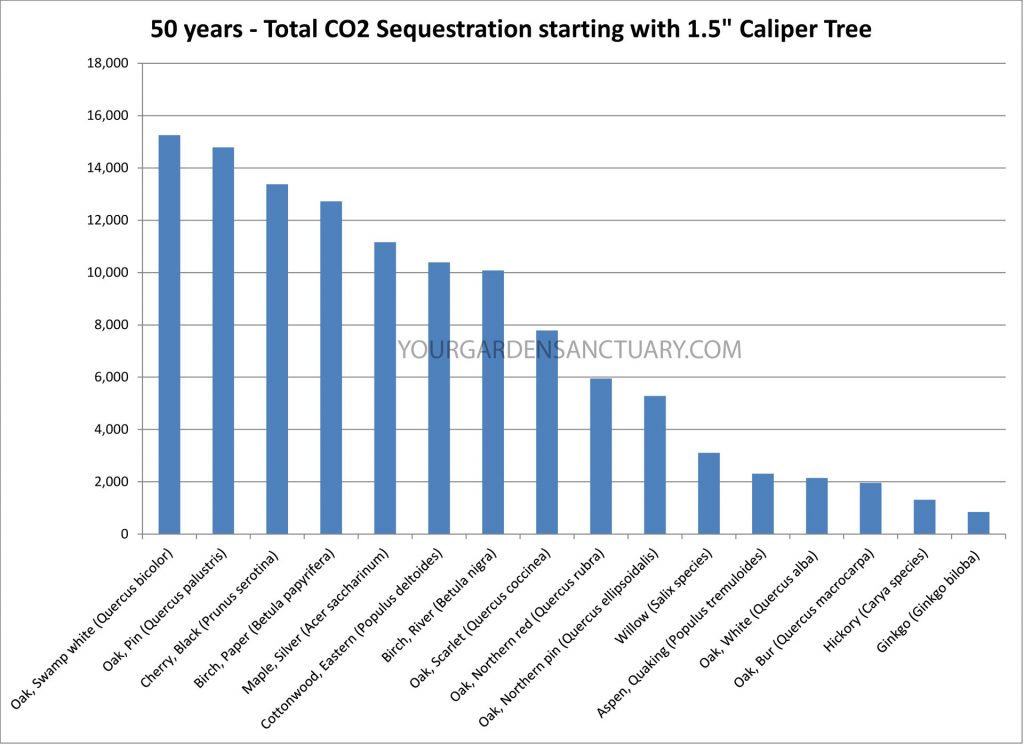 Carbon Sequestration Rates for tree species