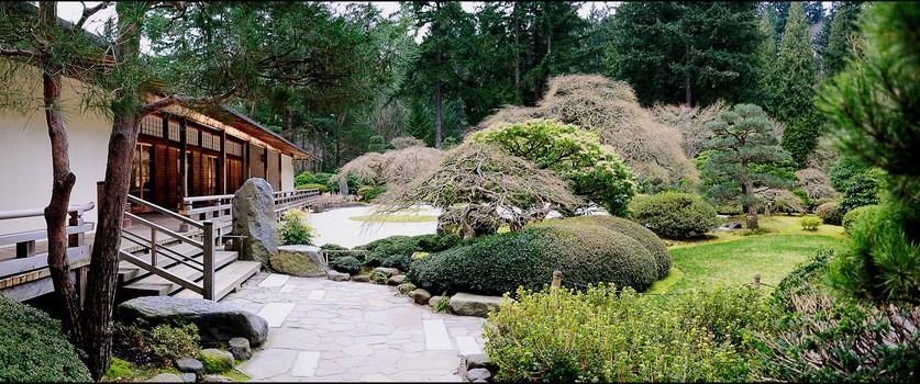 Japanese garden landscape detailed