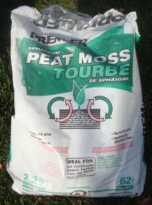 PLANTING RHODODENDRONS IN FOUR SEASON GARDENS - Bag of peat moss