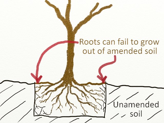 Tree planting mistake - Amending soil