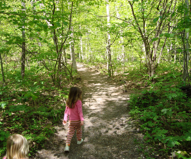 Two girls walking through a forest