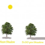 How close can you plant a tree from your house shade patterns