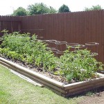 Landscape Wish List may include vegetable garden